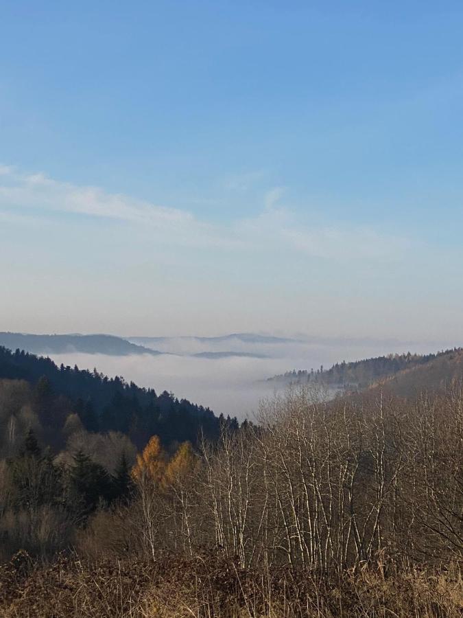 Zielone Zarabie Residence Myślenice Εξωτερικό φωτογραφία